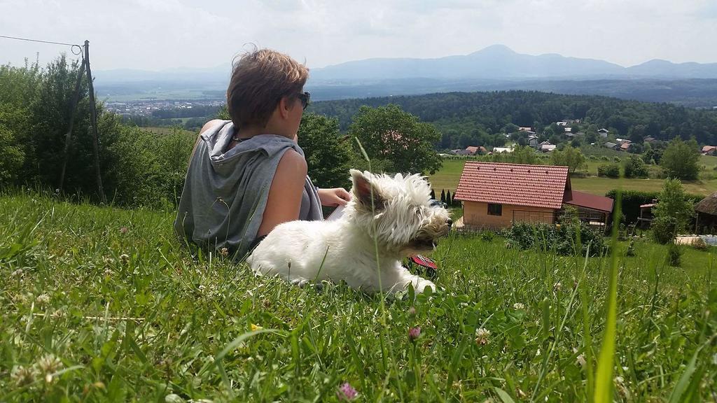 Готель Panorama Glamping Visole Словенска-Бістріца Екстер'єр фото